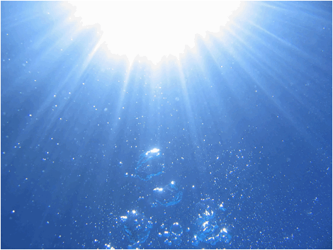 One of the top ten tips for buying a solar pool cover