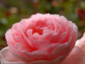 A list of the top ten examples of sentence fragments