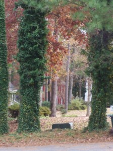 Top 10 places to live North Carolina rocky mount