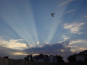 Top 10 places to live in California california city