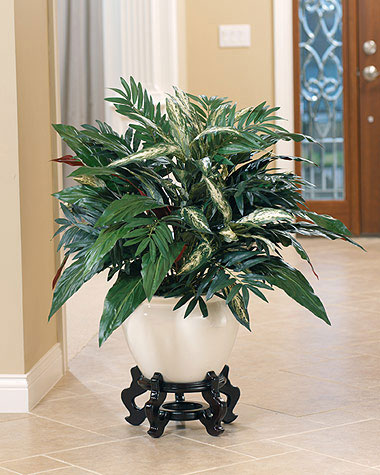 A list of the top ten apartment decorating ideas