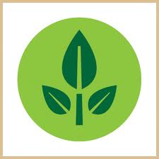  A list of the top ten plant finder tools online