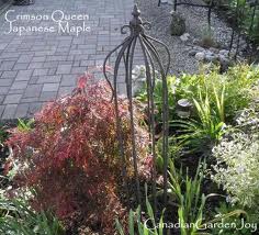  A list of the top ten plant finder tools online