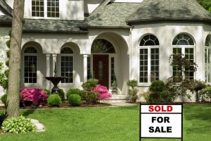 lawn and driveway