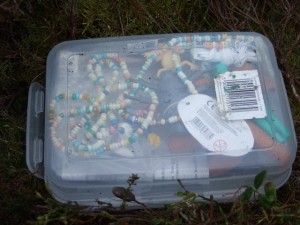geocaching