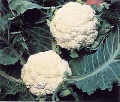 cauliflower and peas