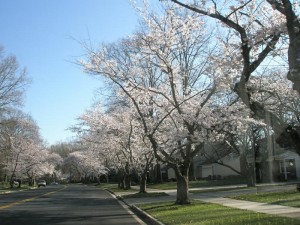 Top 10 places to live in Maryland crofton
