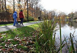 Top 10 places to live in New Jersey Essex Fells