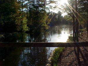 Top 10 places to live in South Carolina sumter