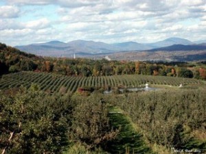 Top 10 places to live in vermont bennington