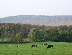 Top 10 places to live in vermont cabot