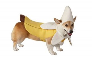 Bowser Banana Bars