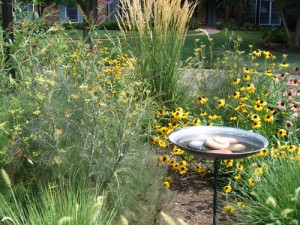 A list of the top ten extravagant backyard makeovers