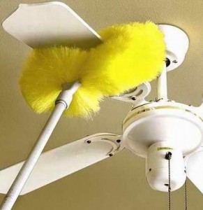 ceiling fan duster