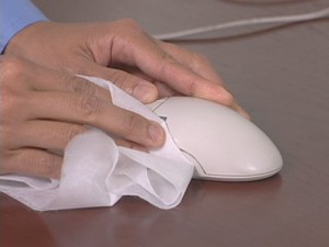 mouse