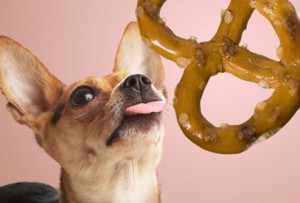 pooch pretzels