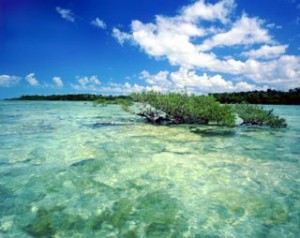 top 10 places to live in Florida The Florida Keys