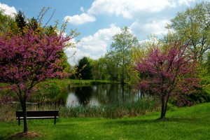 top 10 places to live in delaware Hockessin