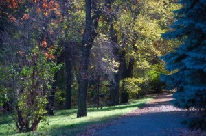 top 10 places to live in delaware odessa
