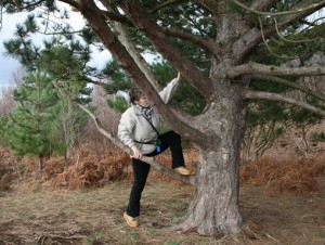 test branches