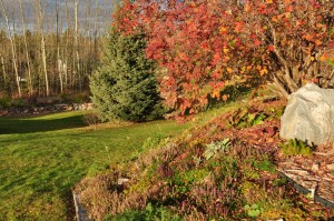 over gardening