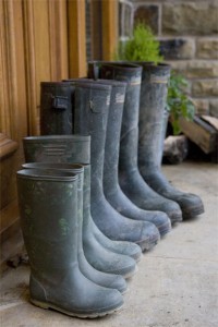 wellingtons