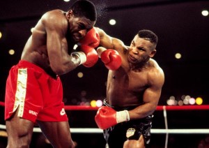 boxer