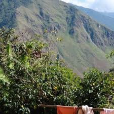 Peruvian