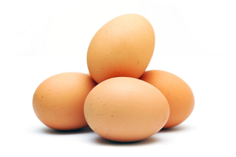 egg