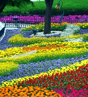 flower bed gardening tips