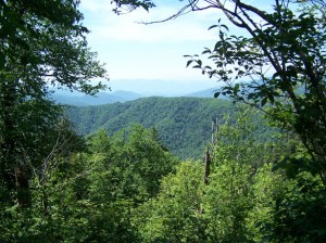 Great Smoky Mountains
