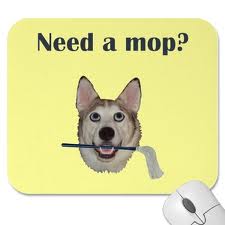 mop