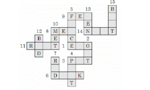 vocabulary puzzle