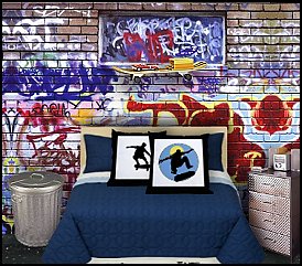 Top 10 boy and girl rooms skater