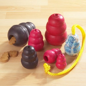 Top 10 things you need for a new puppy dog toys
