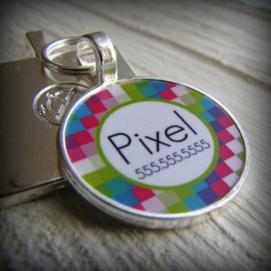 Top 10 things you need for a new puppy name tags