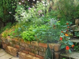 best of flower beds adding herb to flower beds