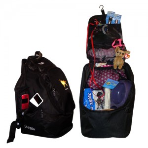 best of ways to spoil your dog luggage