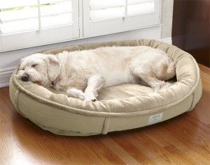 best of ways to spoil your dog memory foam bed with faux fur