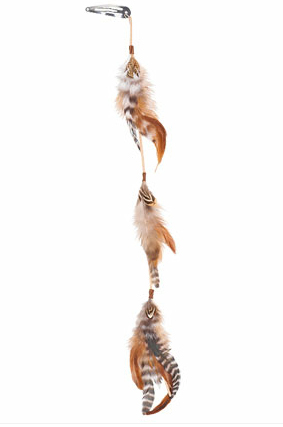 feathers