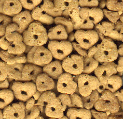 kitten treats
