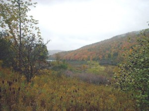 andover new york in autumn