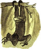 asanbosam