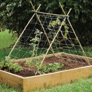 gardening