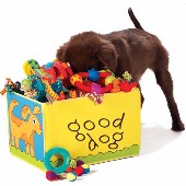 Best of dog boutique shopping cherrybrook