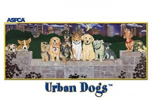 Best of dog boutique shopping pipsqueak