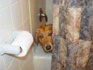 Top 10 floor plan tips enough bathrooms