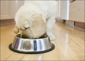 food and water