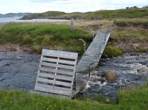 Repair Bridges