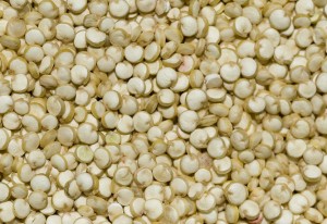 quinoa